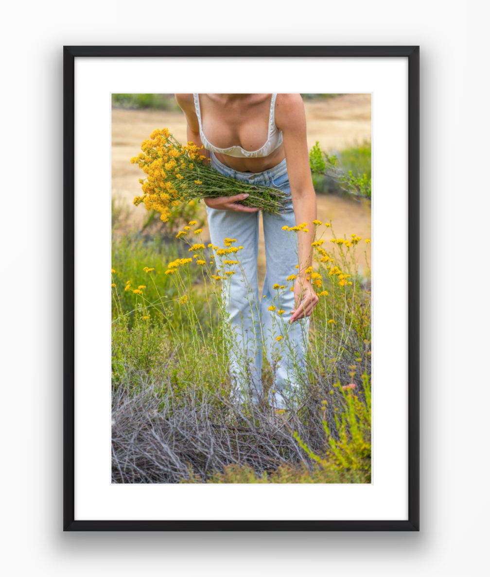 Flower Harvest