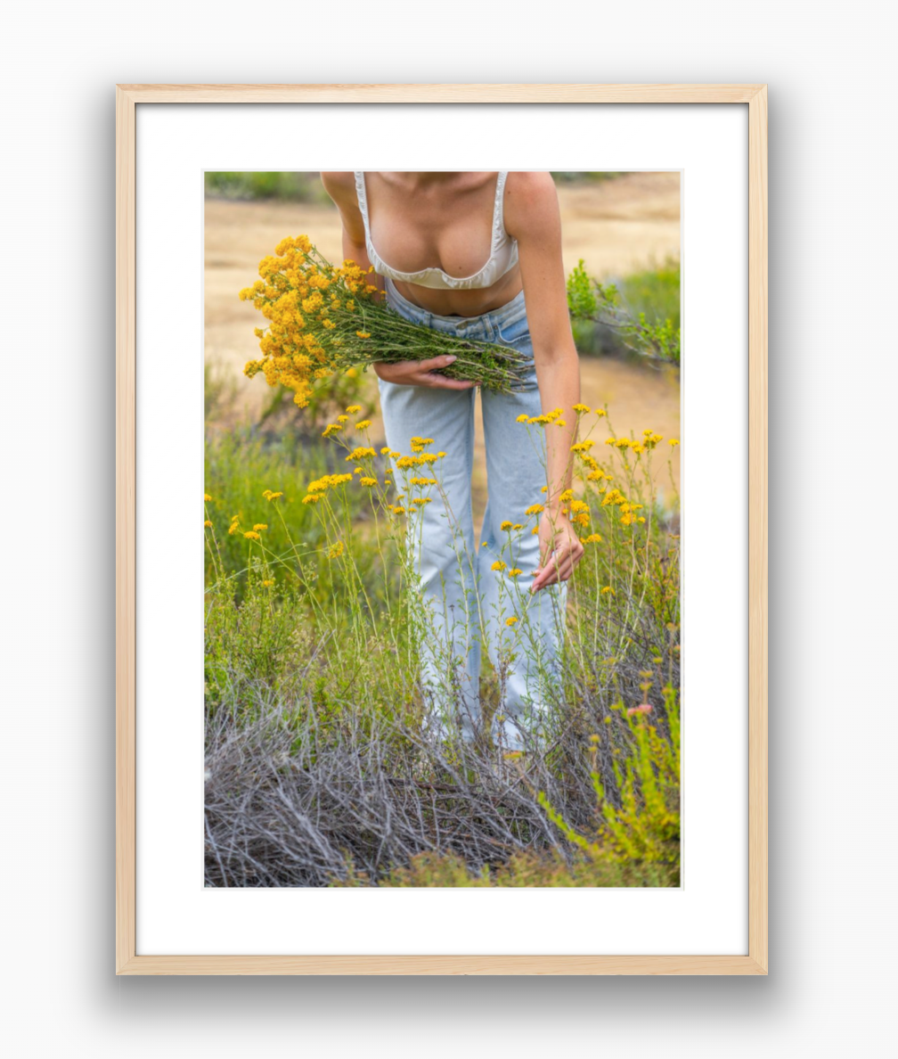 Flower Harvest