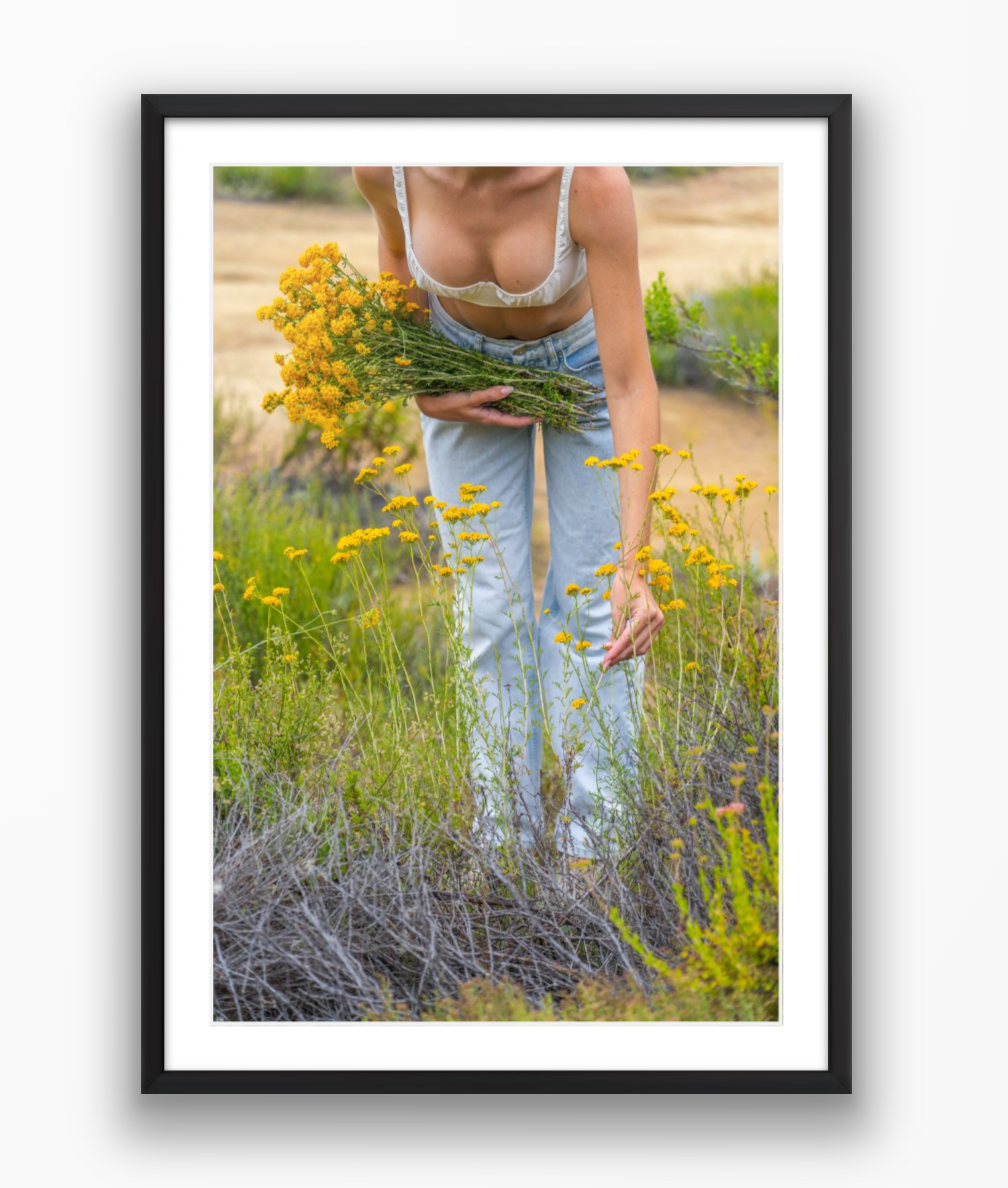 Flower Harvest