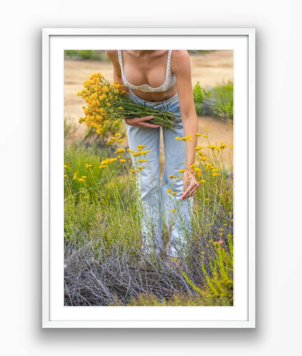 Flower Harvest