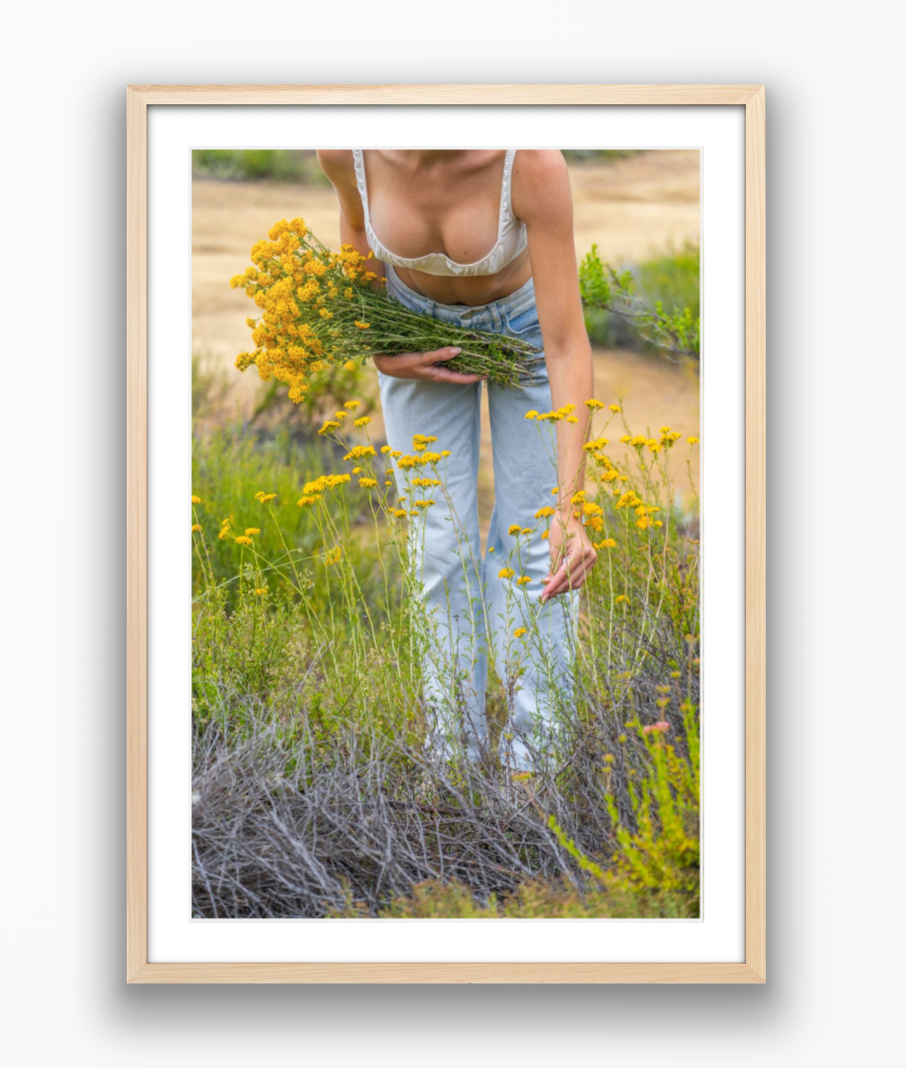 Flower Harvest